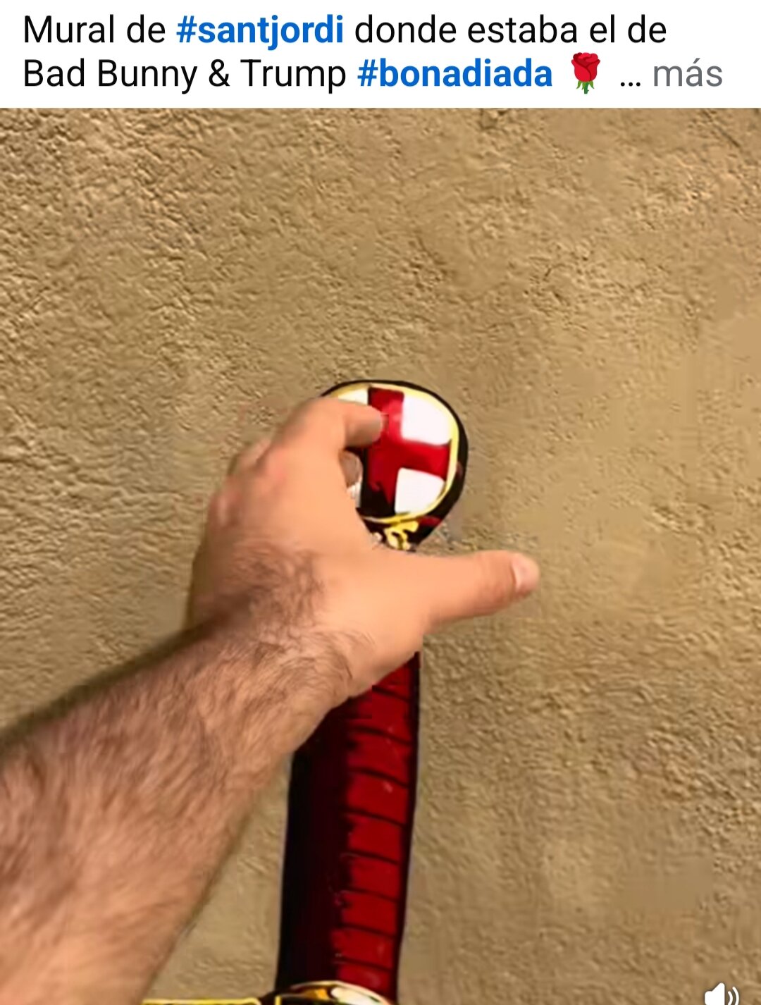 Escut amb la creu de Sant Jordi i l'espasa del cavaller