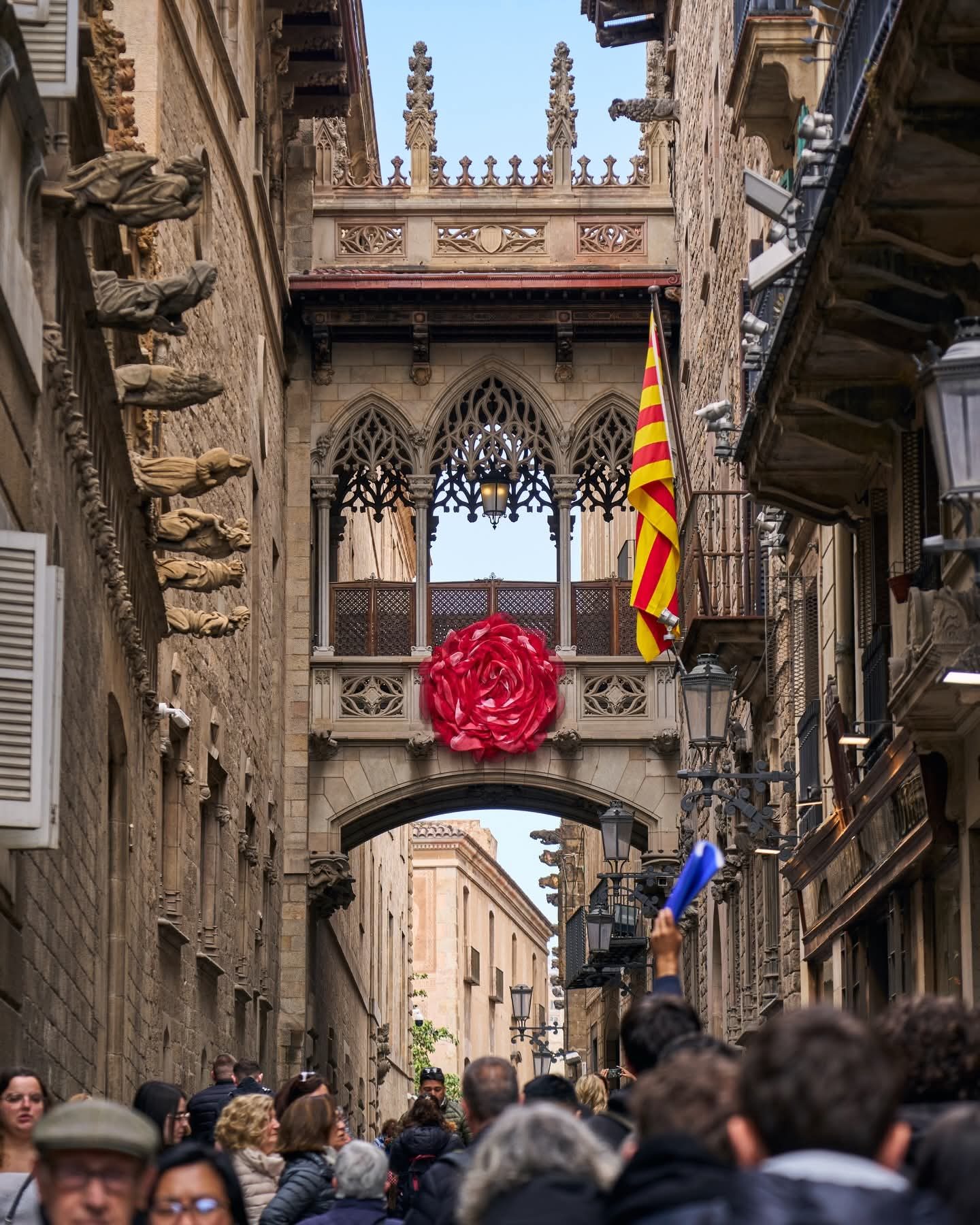 Pont del Bisbe vestit de roses per Sant Jordi